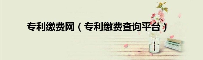 專(zhuān)利繳費(fèi)網(wǎng)（專(zhuān)利繳費(fèi)查詢(xún)平臺(tái)）