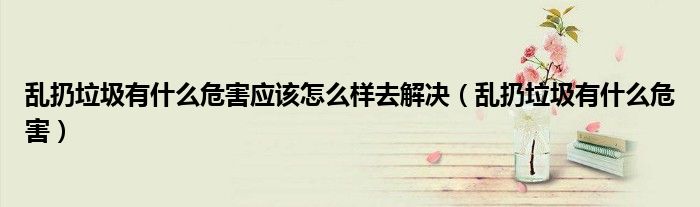 亂扔垃圾有什么危害應該怎么樣去解決（亂扔垃圾有什么危害）