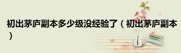 初出茅廬副本多少級(jí)沒經(jīng)驗(yàn)了（初出茅廬副本）