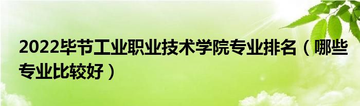 2022畢節(jié)工業(yè)職業(yè)技術(shù)學(xué)院專業(yè)排名（哪些專業(yè)比較好）