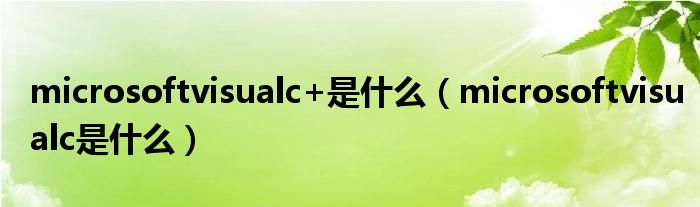microsoftvisualc+是什么（microsoftvisualc是什么）
