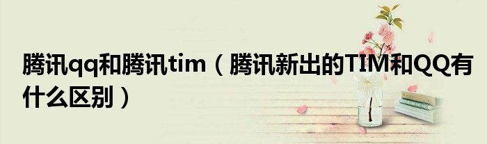 騰訊qq和騰訊tim（騰訊新出的TIM和QQ有什么區(qū)別）