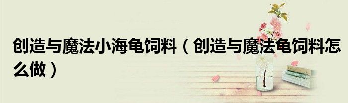 創(chuàng)造與魔法小海龜飼料（創(chuàng)造與魔法龜飼料怎么做）