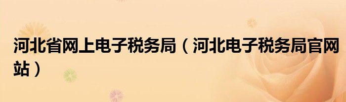 河北省網(wǎng)上電子稅務(wù)局（河北電子稅務(wù)局官網(wǎng)站）