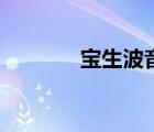 寶生波音人設(shè)圖（寶生波音）