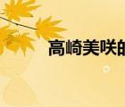 高崎美咲的政府對(duì)象（高崎美咲）