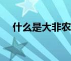 什么是大非農(nóng)怎么賺錢（什么是大非農(nóng)）