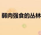 弱肉強食的叢林法則（叢林法則有電腦版嗎）