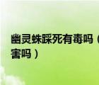 幽靈蛛踩死有毒嗎（幽靈蛛咬死老鼠和2米長(zhǎng)蛇 對(duì)人體有危害嗎）
