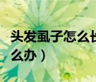 頭發(fā)虱子怎么長(zhǎng)出來(lái)的（孩子頭發(fā)上長(zhǎng)虱子怎么辦）