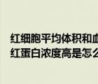 紅細(xì)胞平均體積和血紅蛋白偏高是怎么回事（紅細(xì)胞平均血紅蛋白濃度高是怎么回事）