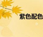 紫色配色編織圖案（紫色配色）
