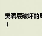 臭氧層破壞的原因和機理（臭氧層破壞的原因）
