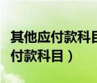 其他應(yīng)付款科目余額在借方表示什么（其他應(yīng)付款科目）