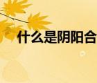 什么是陰陽合同（陰陽合同是什么意思）