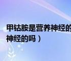 甲鈷胺是營(yíng)養(yǎng)神經(jīng)的嗎和維生素b1吃合適嗎（甲鈷胺是營(yíng)養(yǎng)神經(jīng)的嗎）