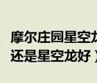 摩爾莊園星空龍?zhí)匦В柷f園冰霜幽靈龍好還是星空龍好）