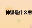 神狐是什么意思（神狐超變單職業(yè)官網(wǎng)）