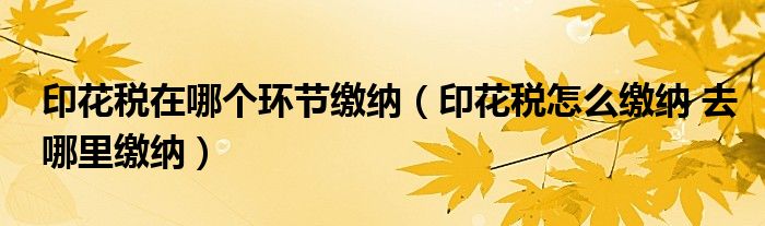 印花稅在哪個(gè)環(huán)節(jié)繳納（印花稅怎么繳納 去哪里繳納）