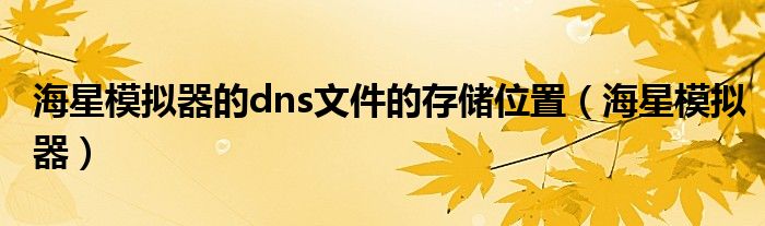 海星模擬器的dns文件的存儲(chǔ)位置（海星模擬器）