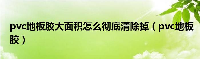 pvc地板膠大面積怎么徹底清除掉（pvc地板膠）