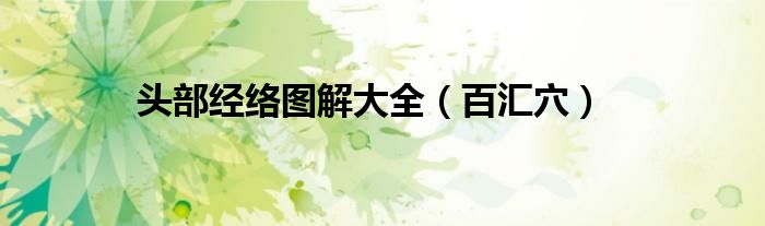 頭部經(jīng)絡(luò)圖解大全（百匯穴）