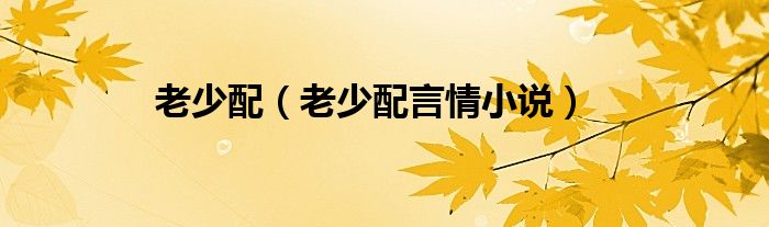 老少配（老少配言情小說）