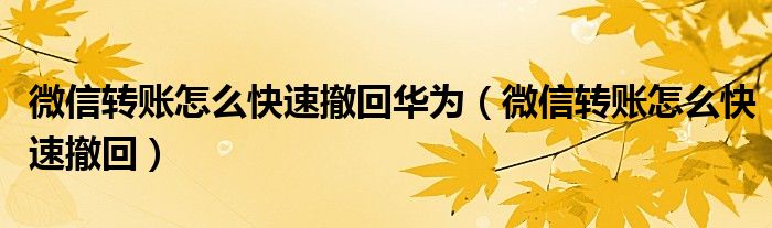 微信轉(zhuǎn)賬怎么快速撤回華為（微信轉(zhuǎn)賬怎么快速撤回）