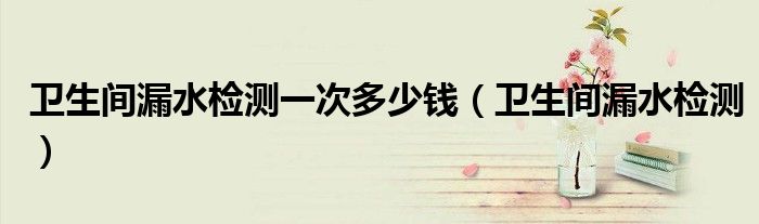 衛(wèi)生間漏水檢測(cè)一次多少錢(qián)（衛(wèi)生間漏水檢測(cè)）
