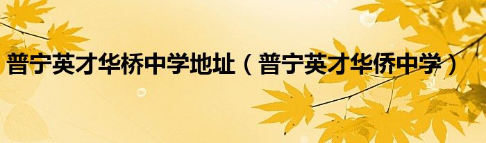 普寧英才華橋中學(xué)地址（普寧英才華僑中學(xué)）