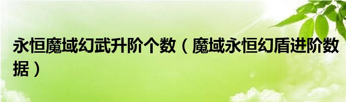 永恒魔域幻武升階個數(shù)（魔域永恒幻盾進階數(shù)據(jù)）