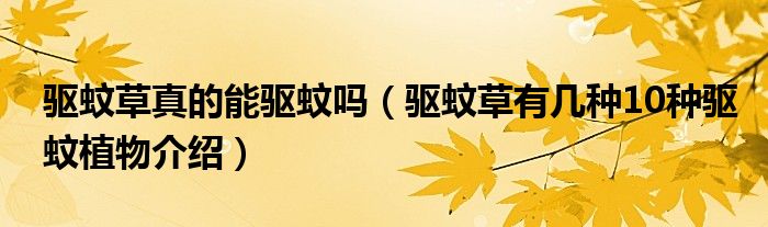 驅(qū)蚊草真的能驅(qū)蚊嗎（驅(qū)蚊草有幾種10種驅(qū)蚊植物介紹）