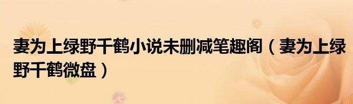 妻為上綠野千鶴小說未刪減筆趣閣（妻為上綠野千鶴微盤）