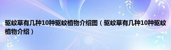 驅(qū)蚊草有幾種10種驅(qū)蚊植物介紹圖（驅(qū)蚊草有幾種10種驅(qū)蚊植物介紹）