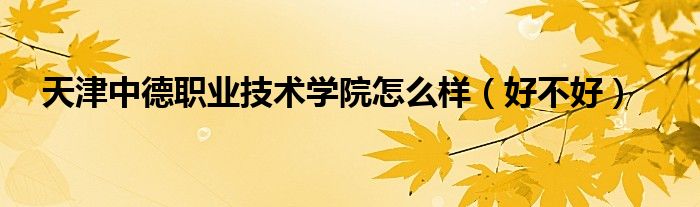 天津中德職業(yè)技術學院怎么樣（好不好）