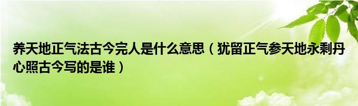 養(yǎng)天地正氣法古今完人是什么意思（猶留正氣參天地永剩丹心照古今寫的是誰）