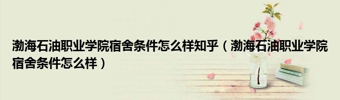 渤海石油職業(yè)學(xué)院宿舍條件怎么樣知乎（渤海石油職業(yè)學(xué)院宿舍條件怎么樣）