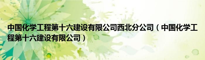 中國化學(xué)工程第十六建設(shè)有限公司西北分公司（中國化學(xué)工程第十六建設(shè)有限公司）