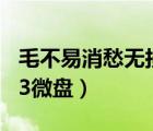 毛不易消愁無(wú)損mp3百度云（毛不易消愁mp3微盤(pán)）