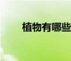 植物有哪些組織類型（植物有哪些）