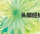 頭部經(jīng)絡圖解大全（百匯穴）
