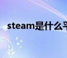 steam是什么平臺游戲機（steam是什么）