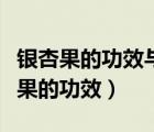 銀杏果的功效與作用及食用方法和禁忌（銀杏果的功效）
