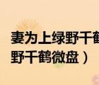 妻為上綠野千鶴小說(shuō)未刪減筆趣閣（妻為上綠野千鶴微盤(pán)）