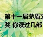 第十一屆茅盾文學(xué)獎提名作品目錄（茅盾文學(xué)獎 你讀過幾部）