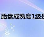 胎盤成熟度1級是什么意思（胎盤成熟度1級）