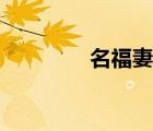 名福妻實(shí)下載（名福妻實(shí)）