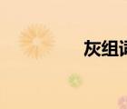 灰組詞組詞語（灰組詞）
