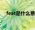 feat是什么意思音樂（feat是什么意思）