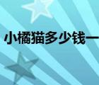 小橘貓多少錢一只幼崽（小橘貓多少錢一只）